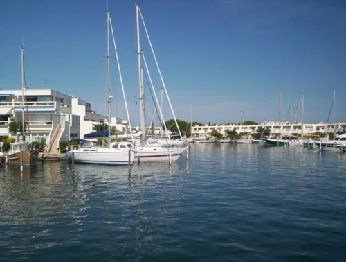 marina-in-port-camargue-1447143